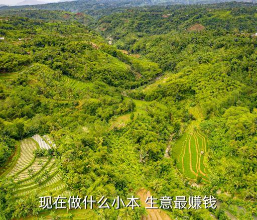 现在做个什么小生意好