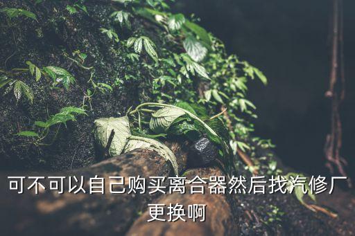 可不可以自己购买离合器然后找汽修厂更换啊