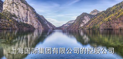  上海国际集团有限公司的控股公司