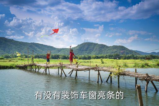 有没有装饰车窗亮条的