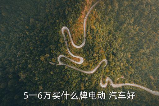 5一6万买什么牌电动 汽车好
