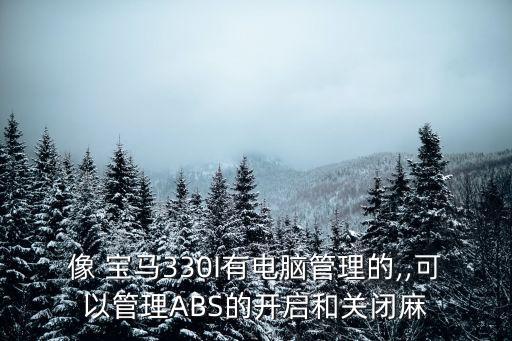 像 宝马330I有电脑管理的,,可以管理ABS的开启和关闭麻