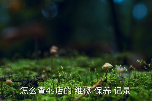 怎么查4s店的 维修 保养 记录
