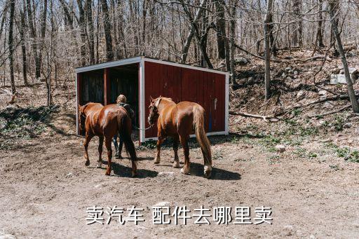 卖汽车 配件去哪里卖