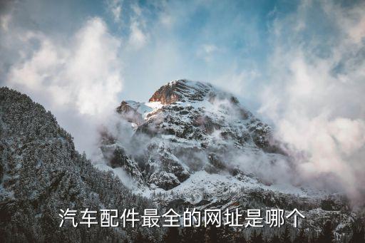 汽车配件最全的网址是哪个
