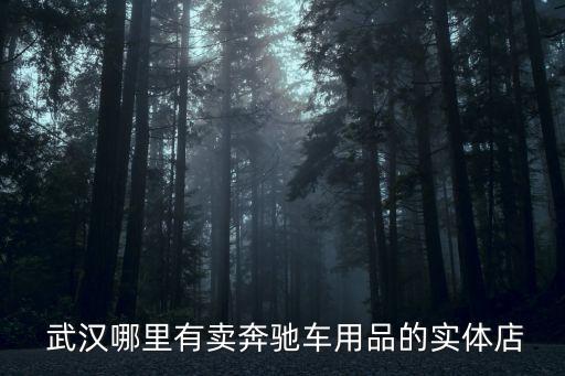  武汉哪里有卖奔驰车用品的实体店