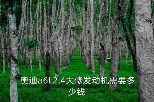  奥迪a6L2.4大修发动机需要多少钱