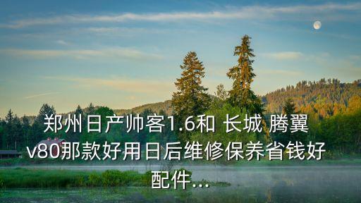 郑州日产帅客1.6和 长城 腾翼 v80那款好用日后维修保养省钱好 配件...