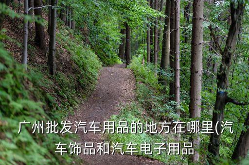  广州批发汽车用品的地方在哪里(汽车饰品和汽车电子用品