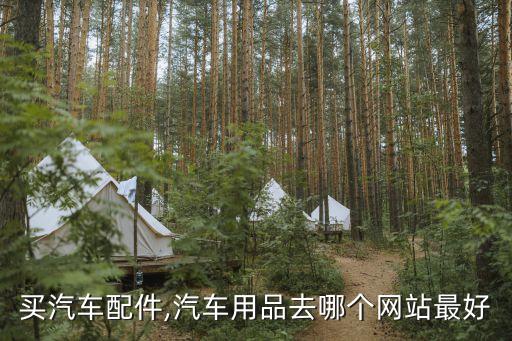 买汽车配件,汽车用品去哪个网站最好