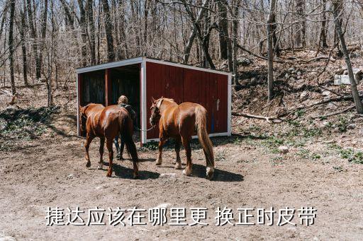 捷达应该在哪里更 换正时皮带