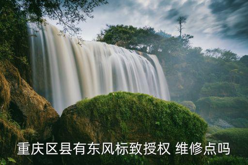重庆区县有东风标致授权 维修点吗