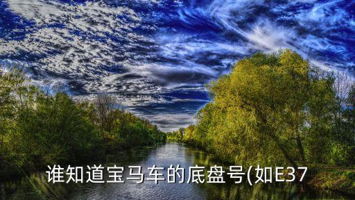谁知道宝马车的底盘号(如E37