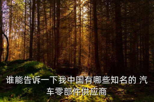 谁能告诉一下我中国有哪些知名的 汽车零部件供应商