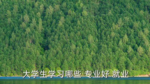  大学生学习哪些 专业好 就业