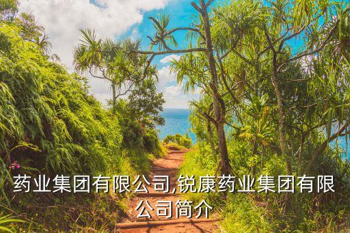 中康药业集团有限公司,锐康药业集团有限公司简介