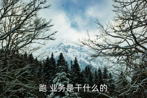 跑 业务是干什么的