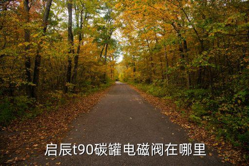  启辰t90碳罐电磁阀在哪里