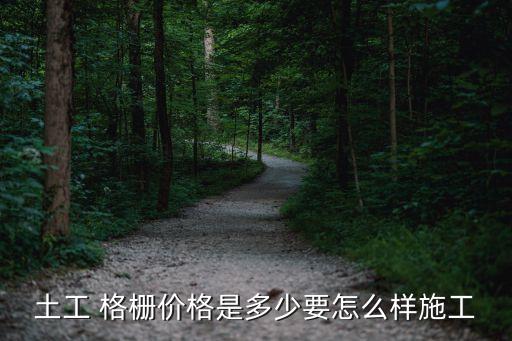 土工 格栅价格是多少要怎么样施工