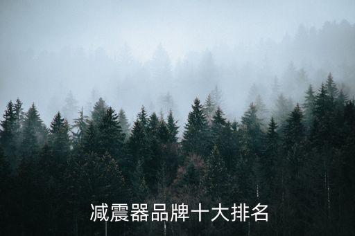  减震器品牌十大排名