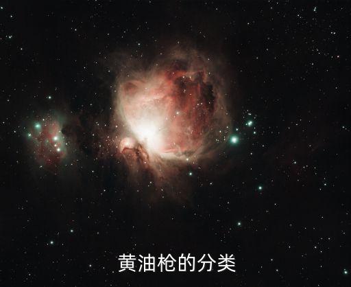  黄油枪的分类
