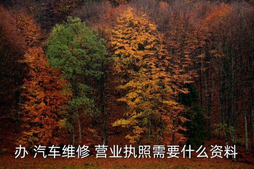 办 汽车维修 营业执照需要什么资料