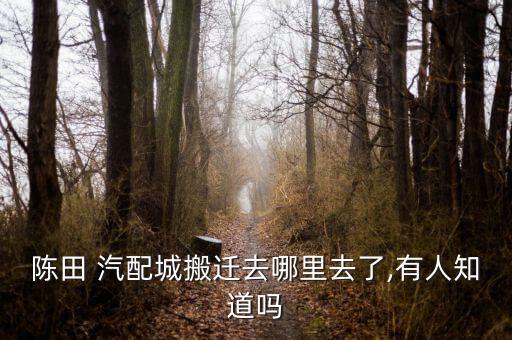 陈田 汽配城搬迁去哪里去了,有人知道吗