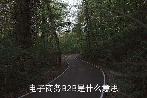 b2b是什么意思,对公账户b2b是什么意思