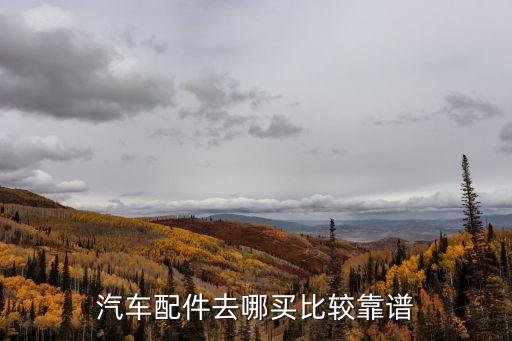 汽车配件去哪买比较靠谱