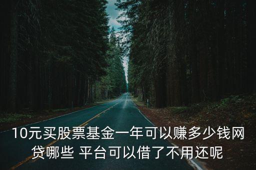 10元买股票基金一年可以赚多少钱网贷哪些 平台可以借了不用还呢