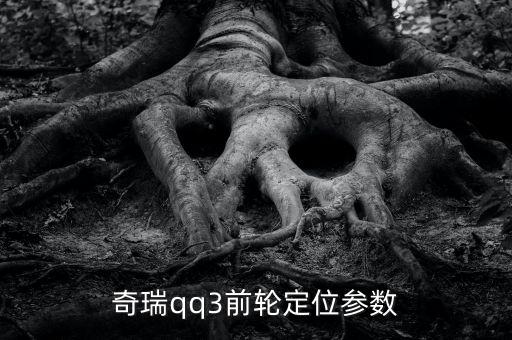 奇瑞qq3前轮定位参数