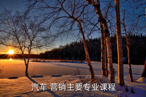  汽车 营销主要专业课程