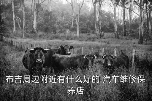 布吉周边附近有什么好的 汽车维修保养店