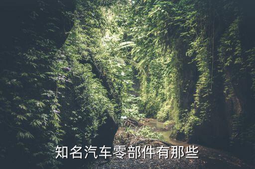 知名汽车零部件有那些