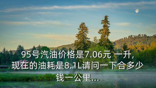 95号汽油价格是7.06元 一升,现在的油耗是8.1L请问一下合多少钱一公里...