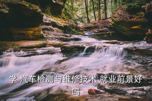 学 汽车检测与维修技术 就业前景好吗