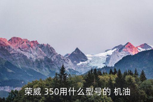 荣威350机油多少钱