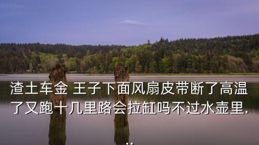 渣土车金 王子下面风扇皮带断了高温了又跑十几里路会拉缸吗不过水壶里...