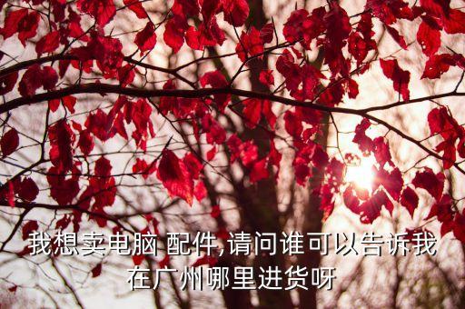 我想卖电脑 配件,请问谁可以告诉我在广州哪里进货呀