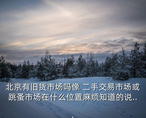 北京有旧货市场吗像 二手交易市场或跳蚤市场在什么位置麻烦知道的说...