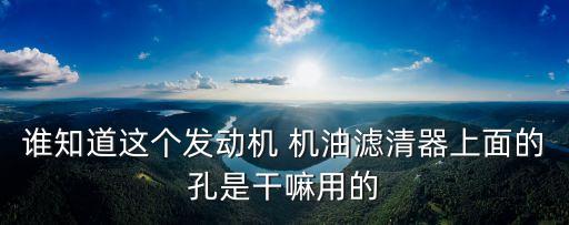 谁知道这个发动机 机油滤清器上面的孔是干嘛用的