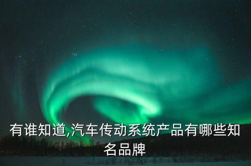 有谁知道,汽车传动系统产品有哪些知名品牌