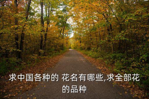 男生职场上给自己取个花名