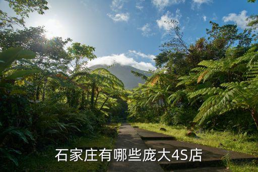 石家庄有哪些庞大4S店