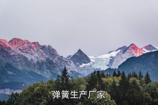 弹簧生产厂家