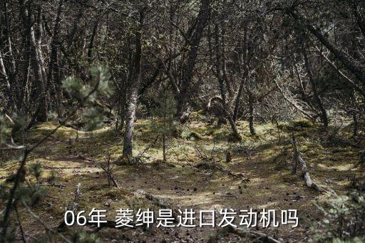 06年 菱绅是进口发动机吗