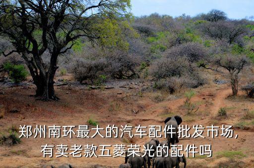  郑州南环最大的汽车配件批发市场,有卖老款五菱荣光的配件吗