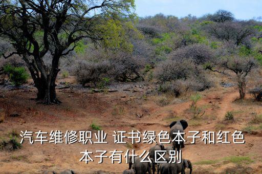  汽车维修职业 证书绿色本子和红色本子有什么区别