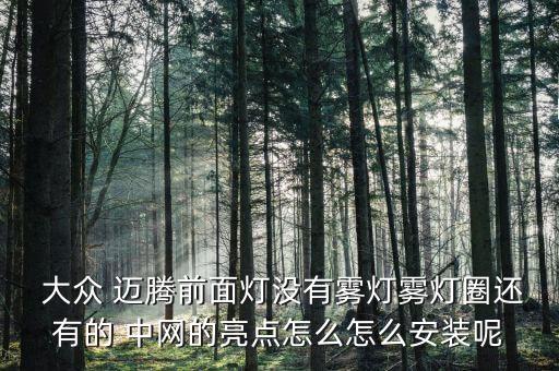 一汽大众迈腾前中网配件