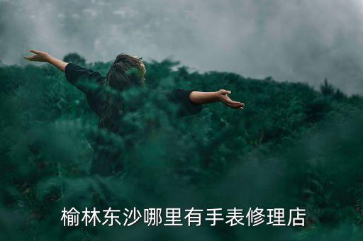  榆林东沙哪里有手表修理店